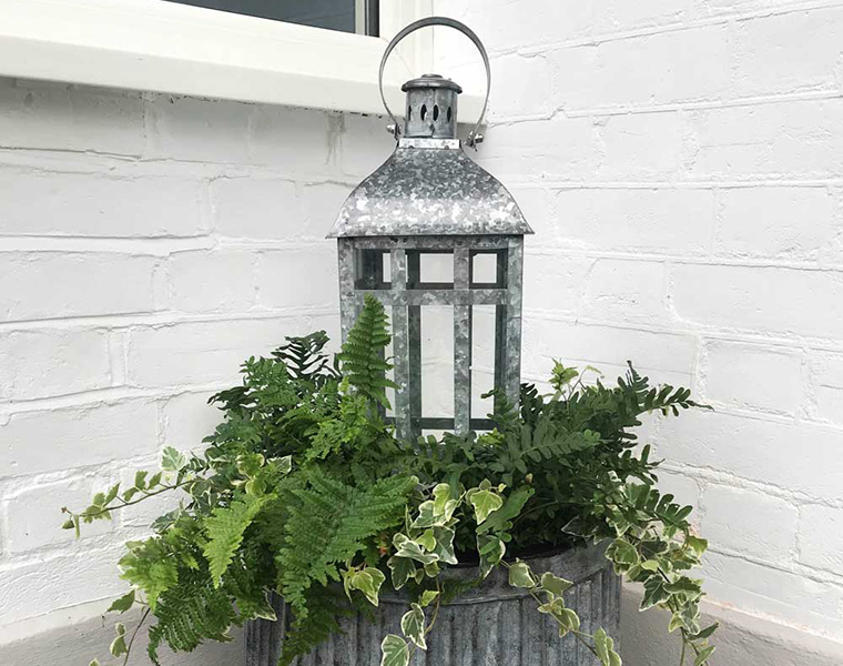 Vintage planter with shade loving plants and galvanised lantern at Barnfield Road, London