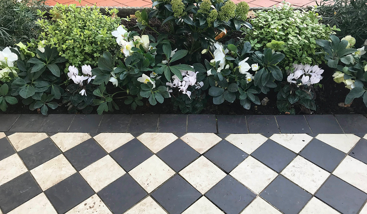 Tiling and planted borders in the converted London front garden
