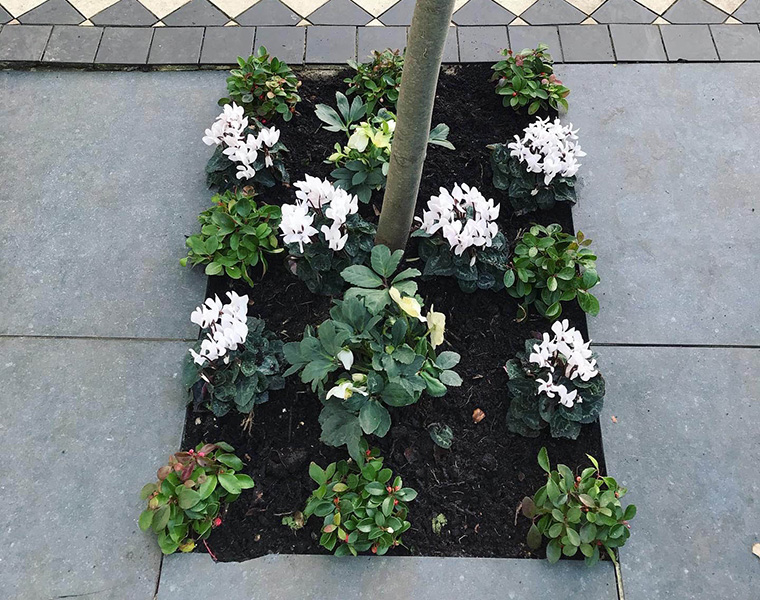 Planting detail at Barnfield Road, London