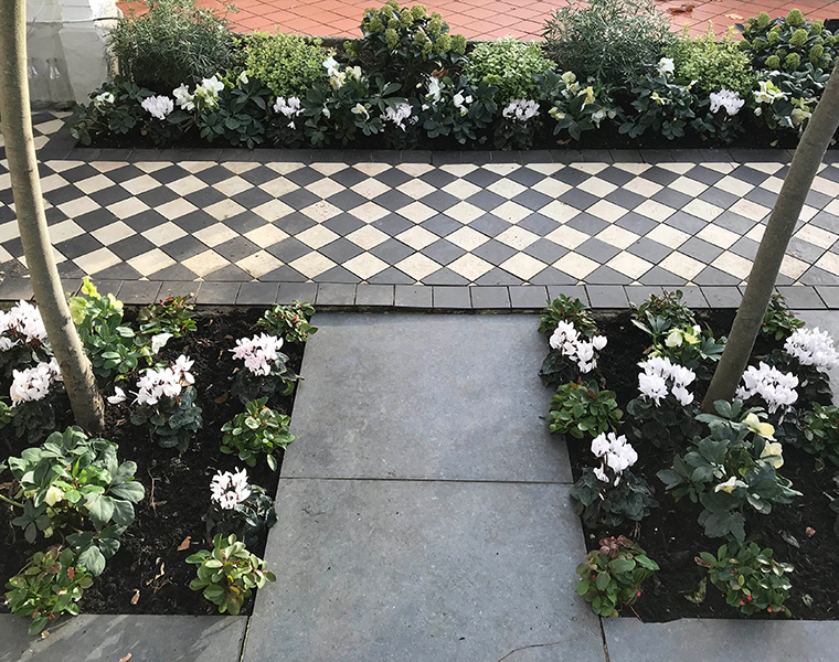 Planting detail at Barnfield Road, London