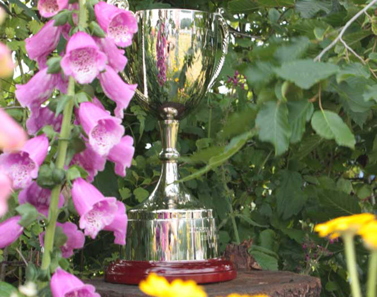 Trophy for Best in Show