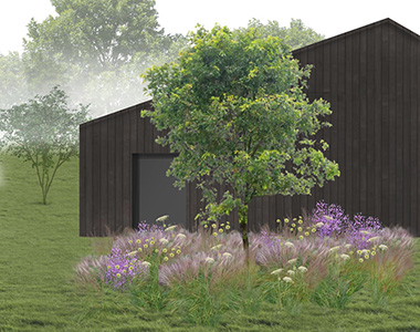 CGI visual with naturalistic planting for the redevelopment of Hentucks Farm in Buckinghamshire