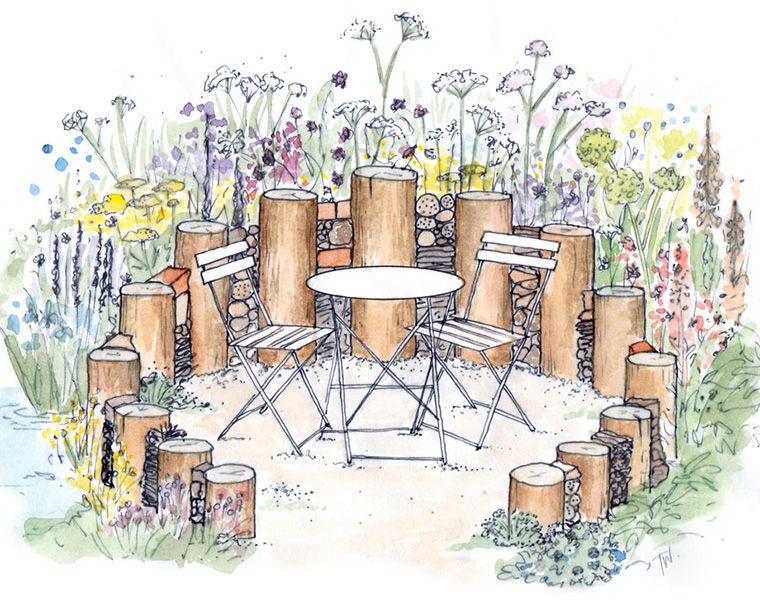 Sketch visual for a wildlife friendly garden seating area with mutiple habitats and plants for pollinators