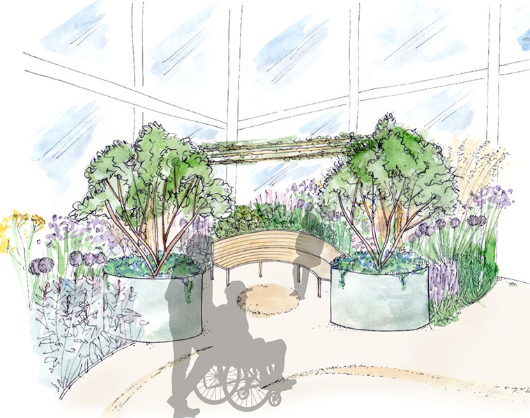 Sketch design for a fully accessible hospital courtyard garden with abundant, uplifting planting