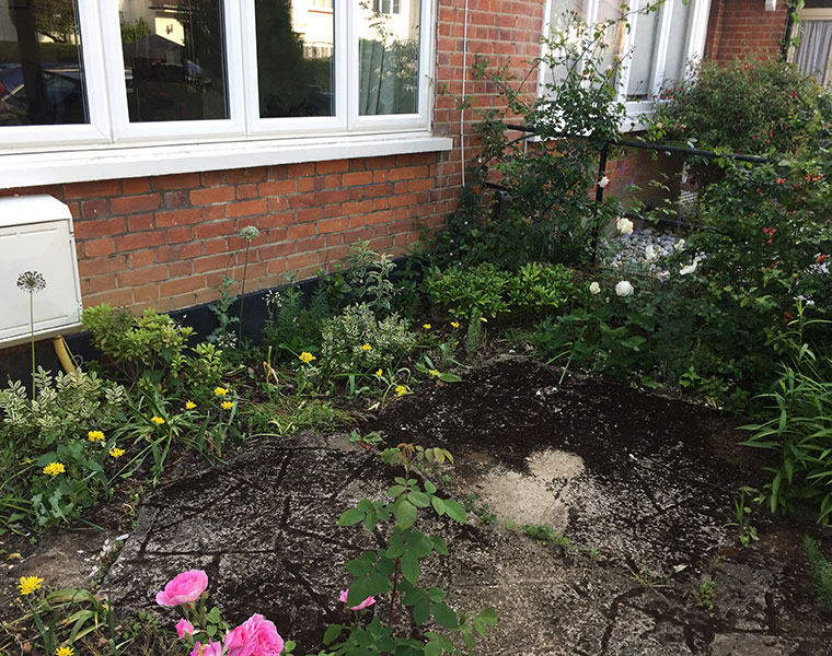 London garden redesign - before image