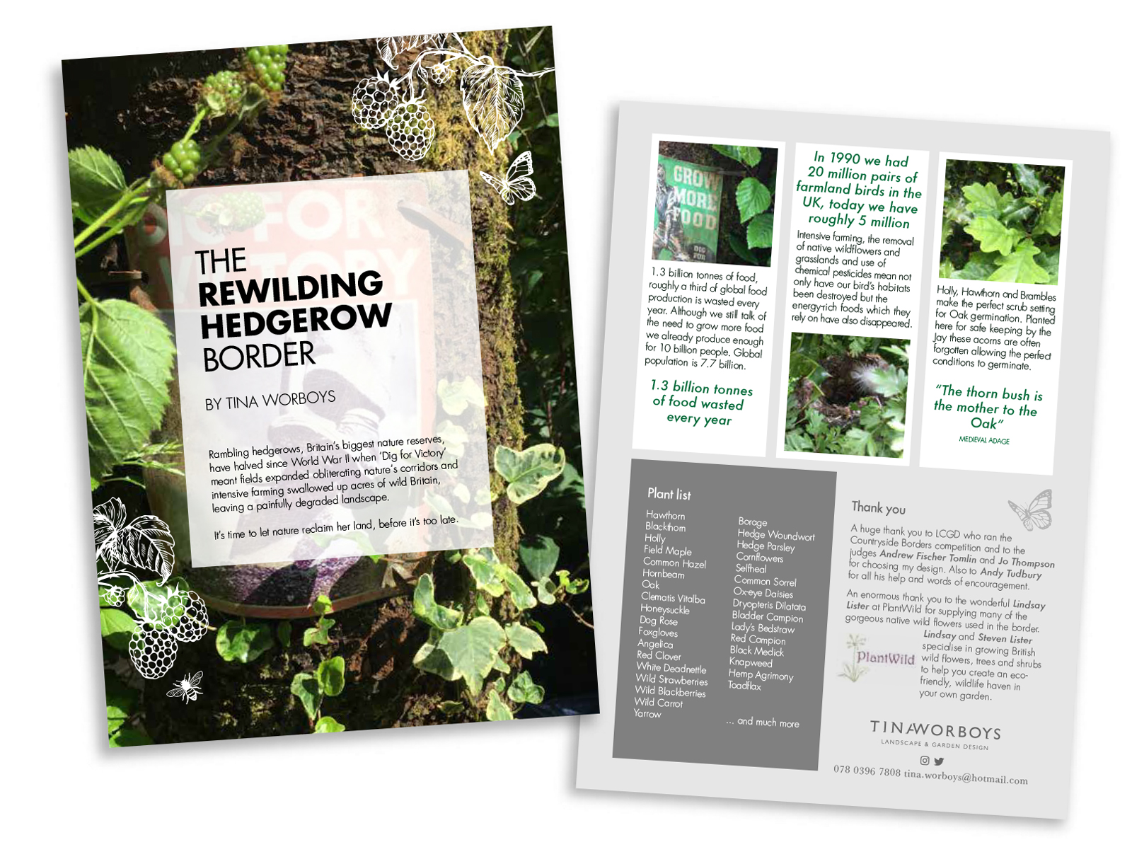 Printed leaflet explaining the rationale behind the Rewilding Hedgerow Border