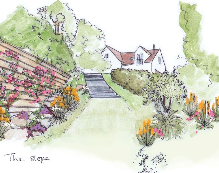 Pen and watercolour sketch of a garden design