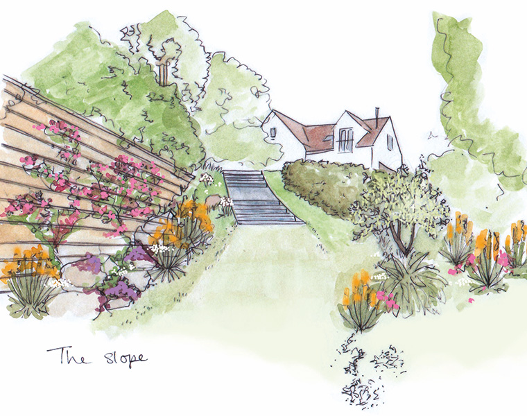 Illustration of a landscaping in a sloped area