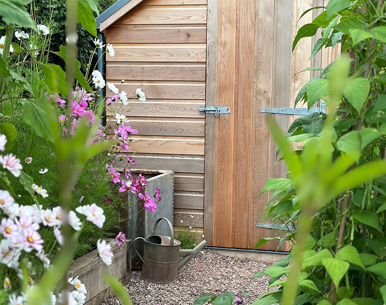 Wooden garden shed with plants and flowers at the entrance.