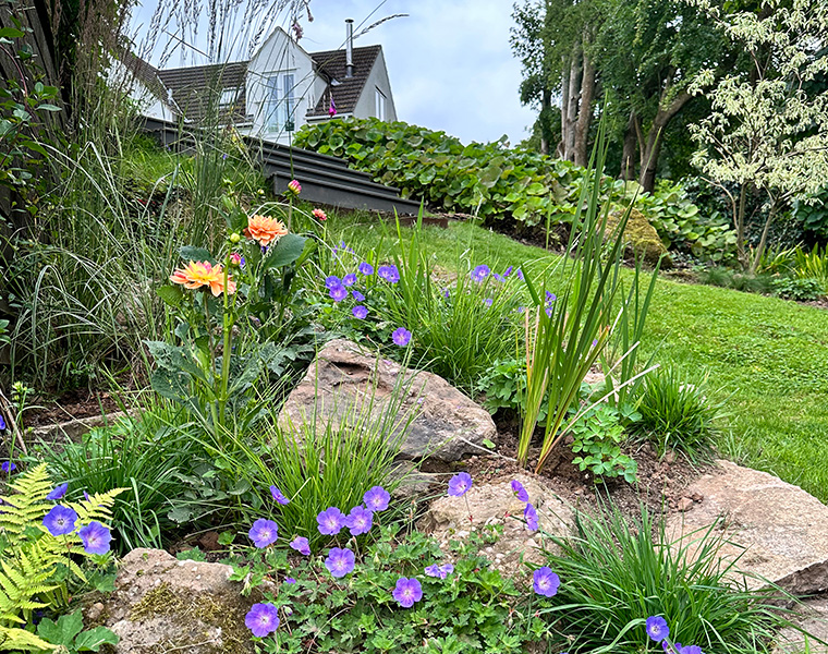 Rockery planting with purple and orange flowers in a landscaped Mitchell Troy garden