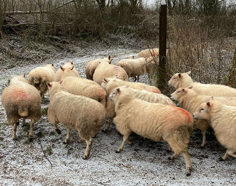 Doorway of the family home