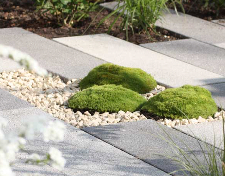 Plank pavers forming a hard landscape design feature