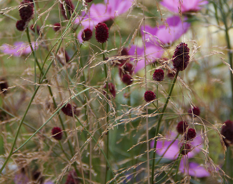 Tina and judges at the Flower and Garden Show